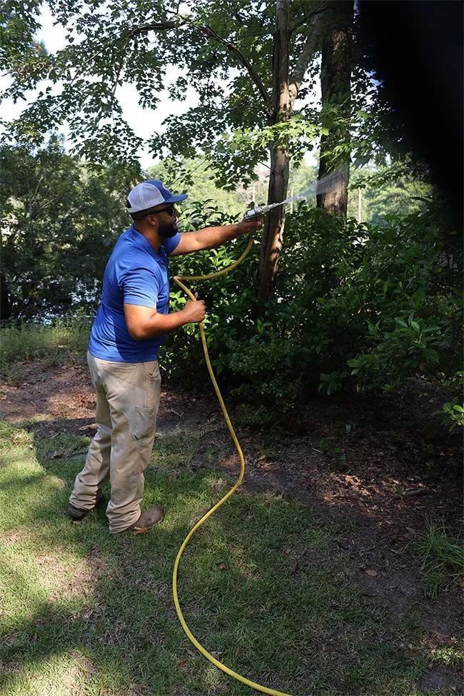 A person wearing a blue shirt and hat sprays a tree with a hose in a grassy area.