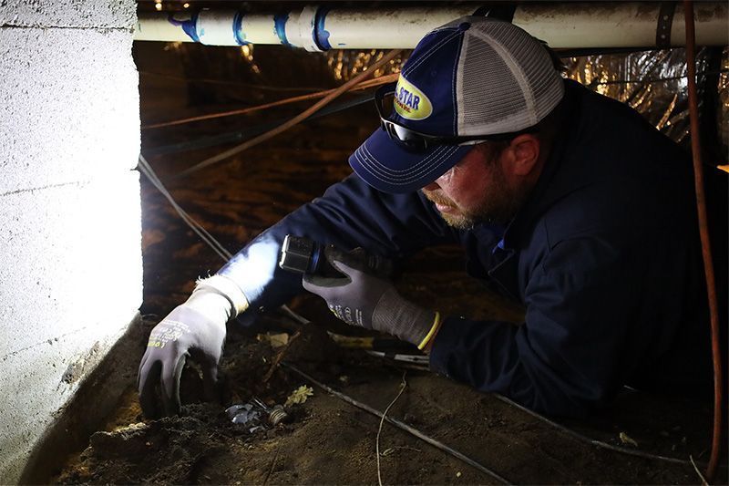 A person in a cap and work gloves inspects a dirt floor in a crawlspace with a flashlight.