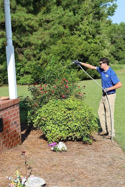 A person wearing a blue shirt and khaki pants uses a spray wand to treat a bush near a brick wall outdoors.