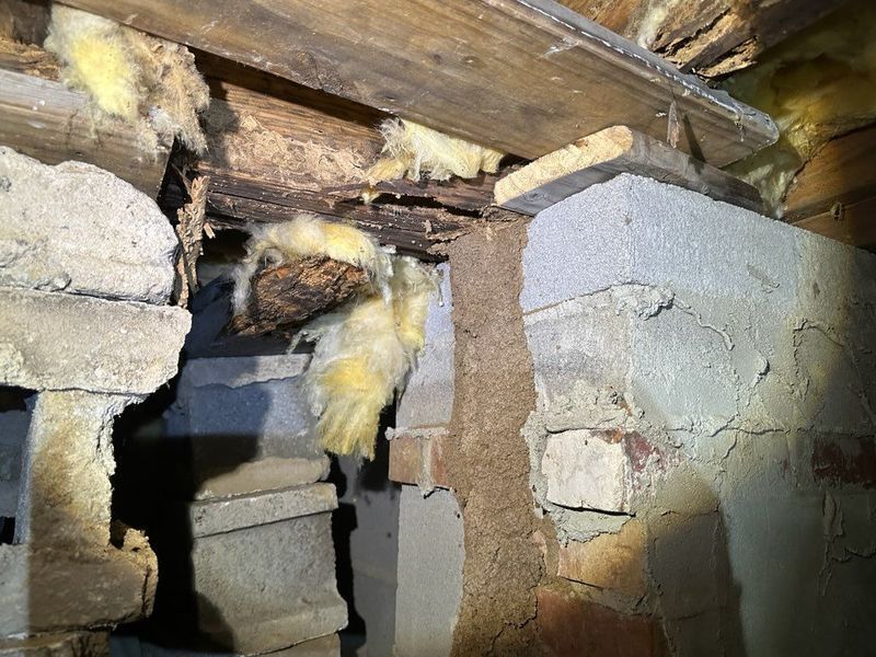 A termite mud tube travels up a brick and concrete foundation wall in a crawl space toward damaged wooden floor joists.