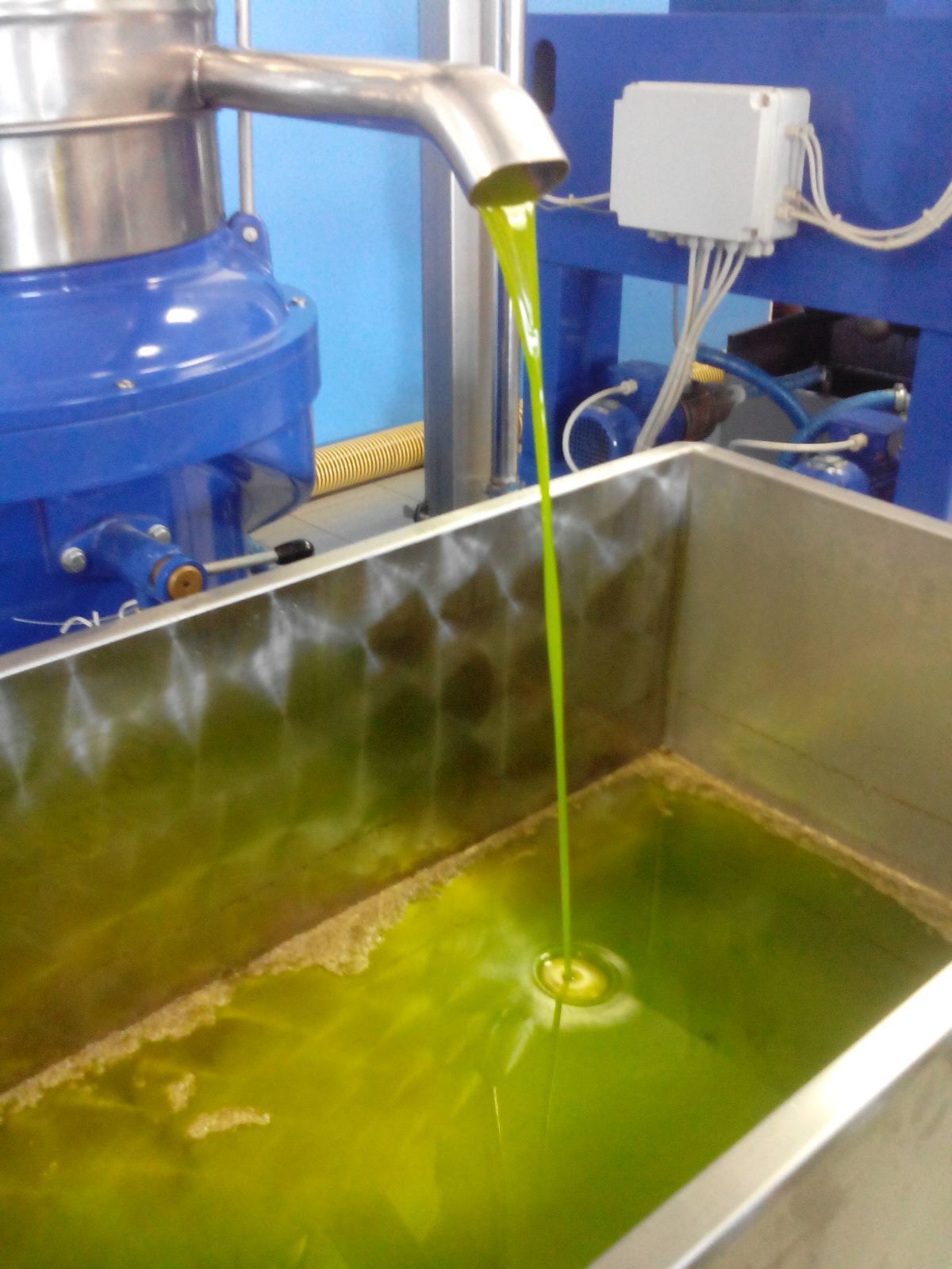 olio extravergine