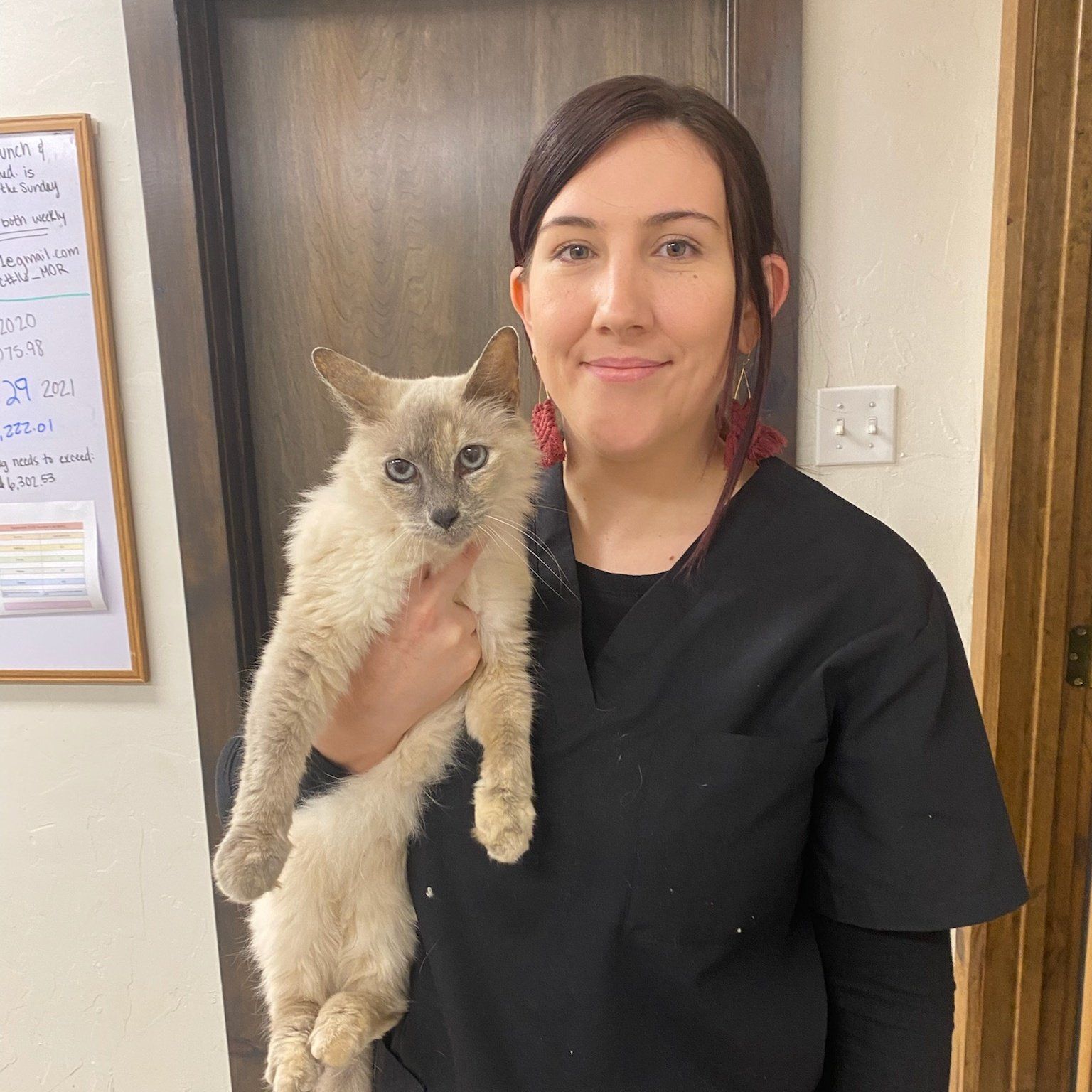 A fur parent holding a white hairy cat — Palestine, TX — Brookhollow Veterinary Clinic