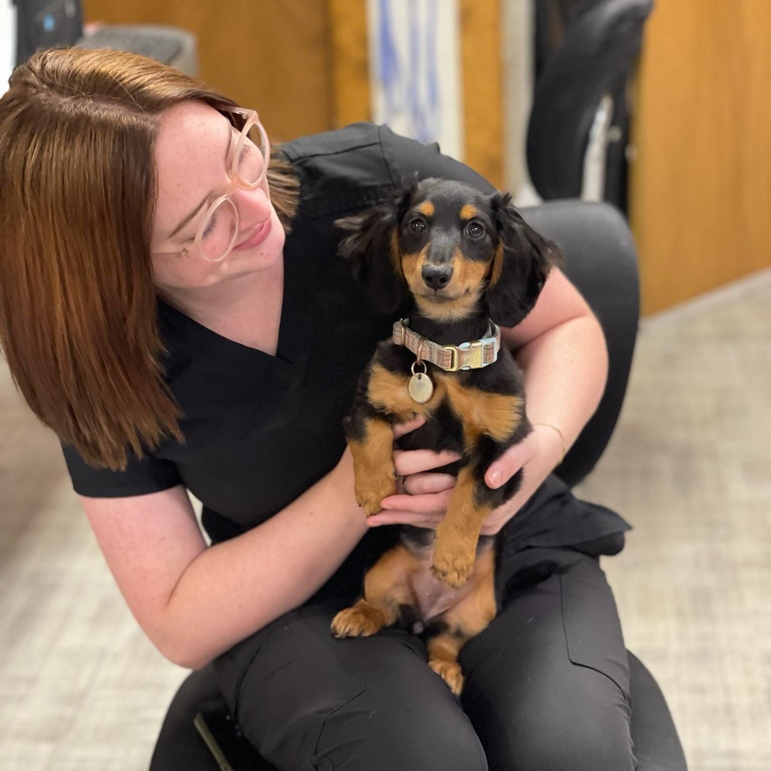 A fur parent holding black dog — Palestine, TX — Brookhollow Veterinary Clinic