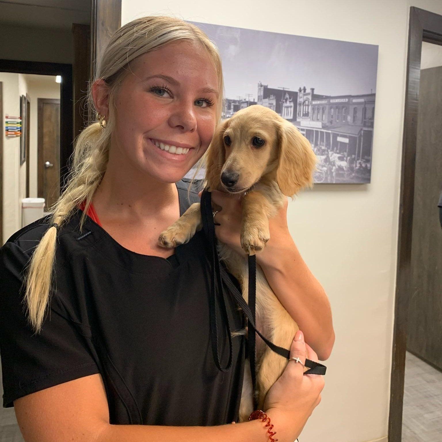 A fur parent holding a small yellow dog — Palestine, TX — Brookhollow Veterinary Clinic