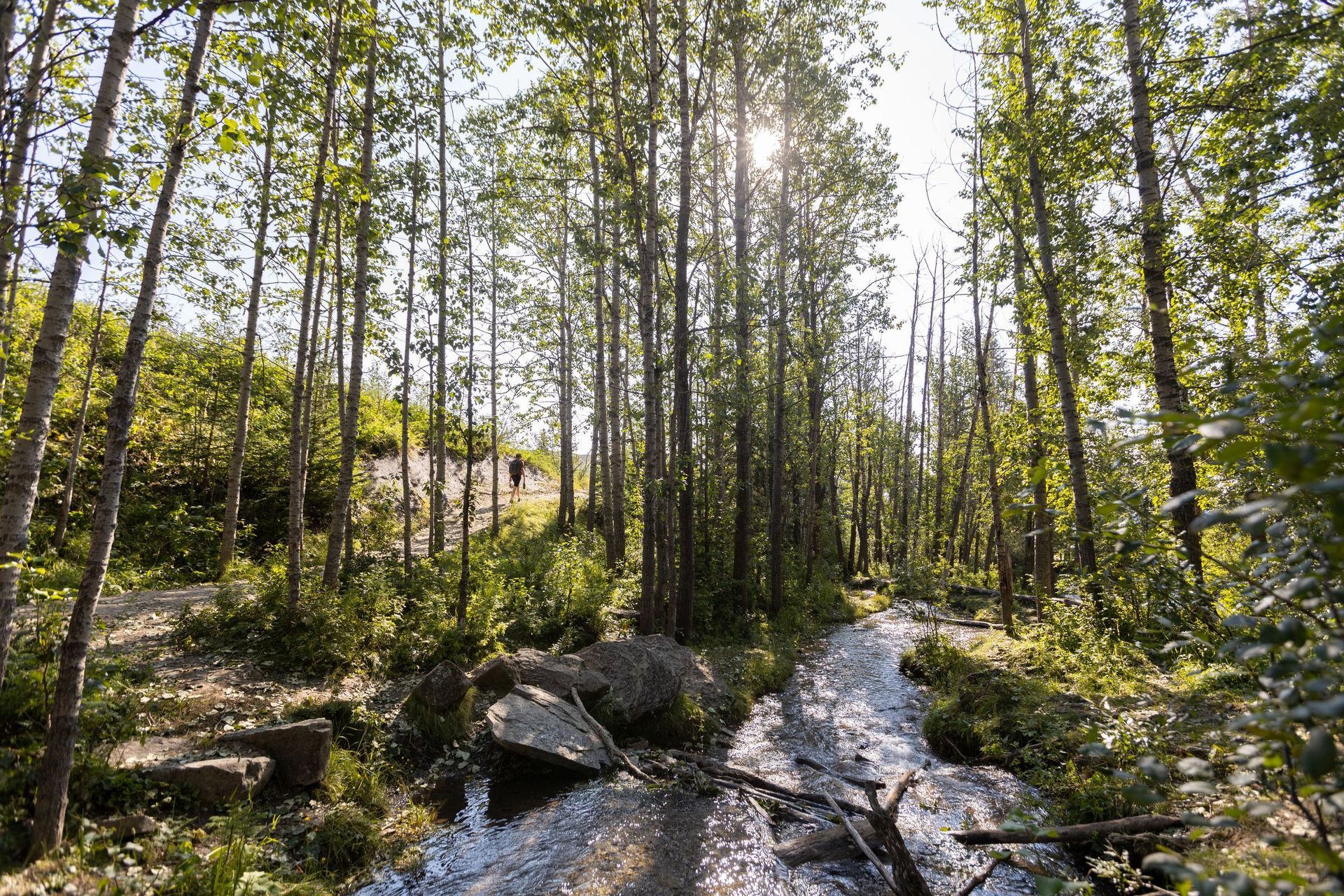 Big Hills Springs Provincial Park in Cochrane, Alberta.