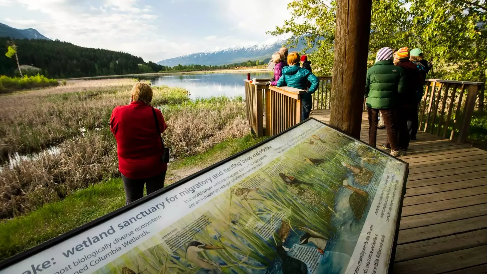 People at wetland sanctuary viewing lake, with interpretive sign in foreground.