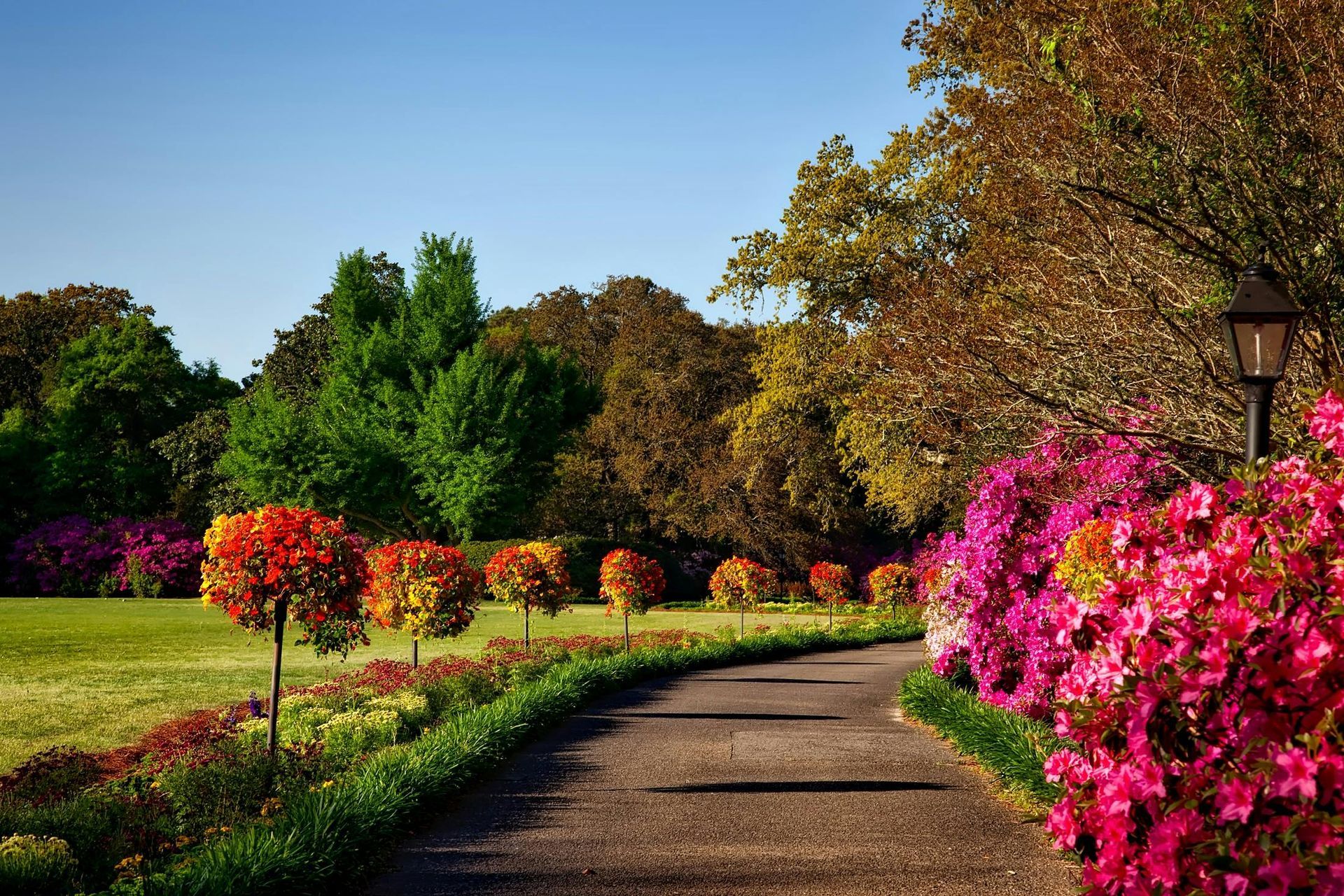 Pathway through a garden with blooming pink and orange flowers and trees under a clear blue sky.