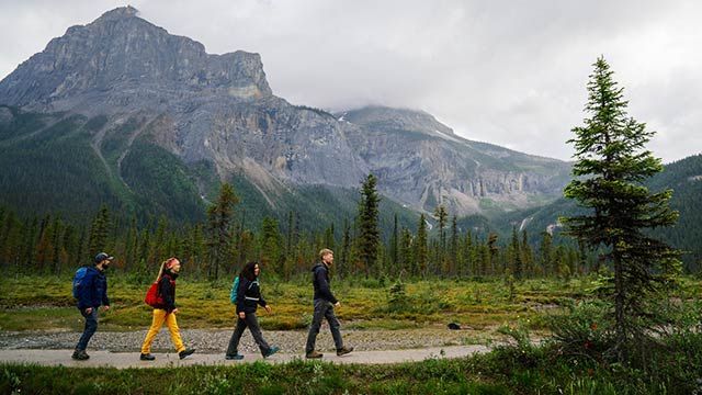 Four people hiking on a path through a forest, mountain backdrop.