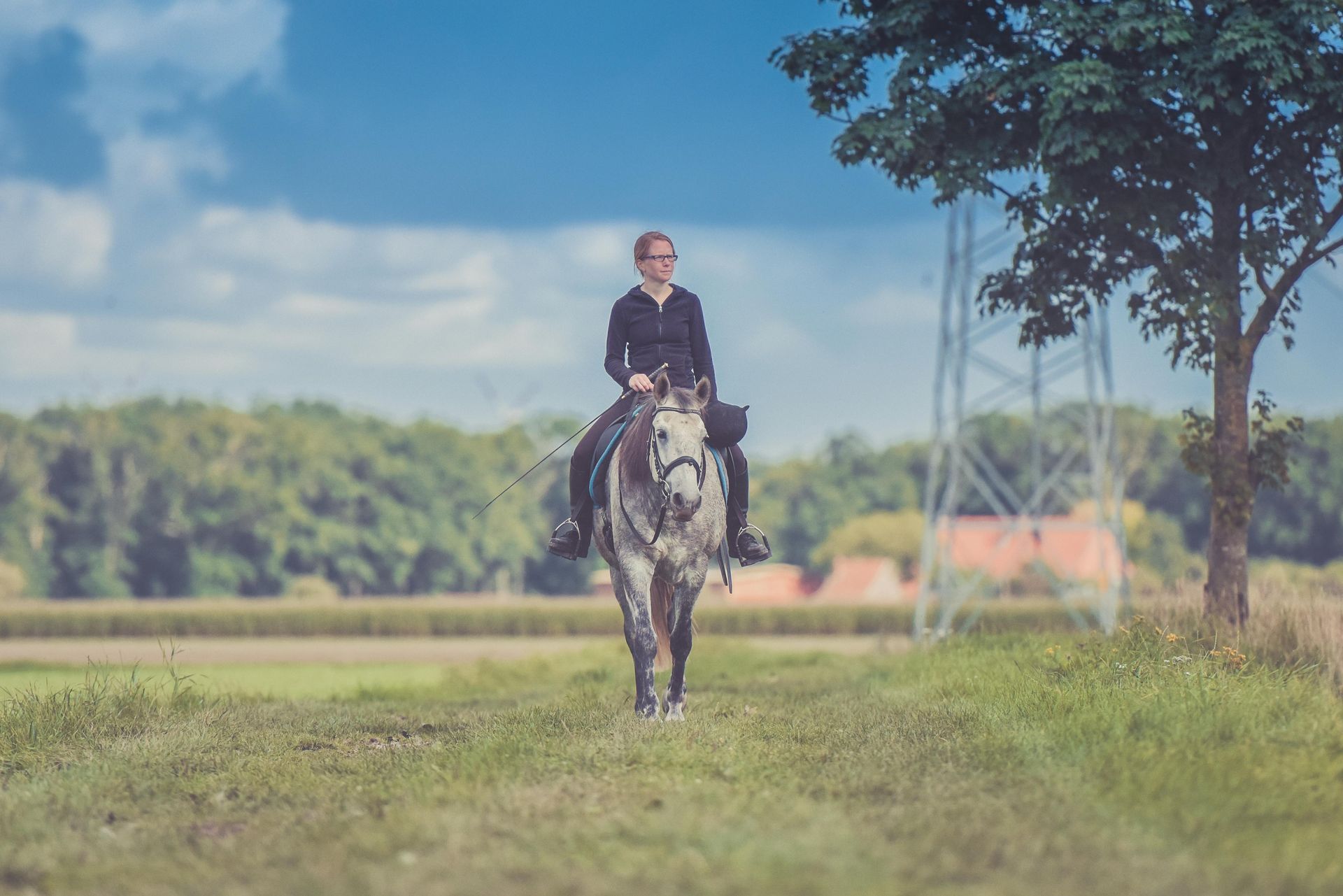 Person rides gray horse through a field. Green trees and blue sky in background.