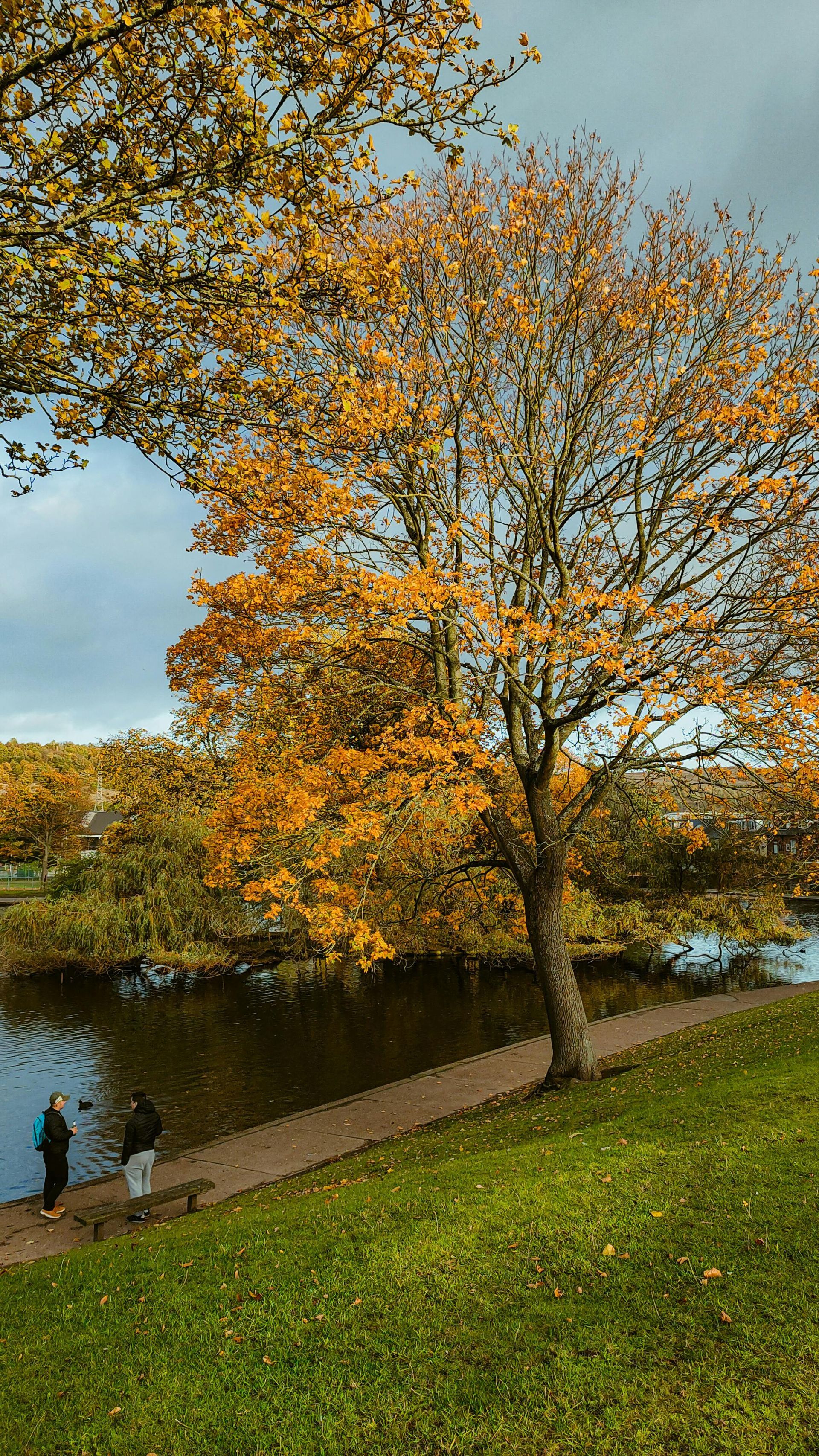 Autumn scene: Tree with orange leaves by a lake. Two people stand near the water.