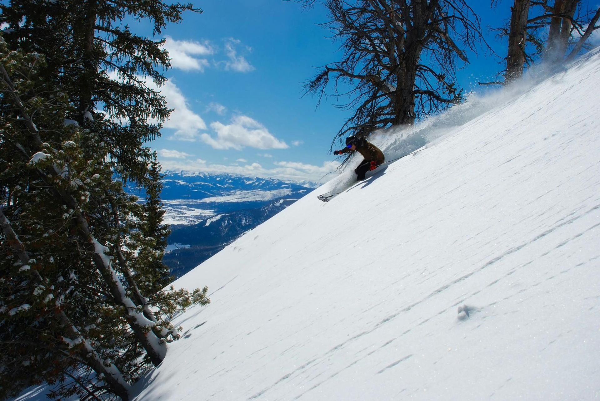 Skier carving down a snow-covered mountain slope on a sunny day; trees on the side, valley in the background.