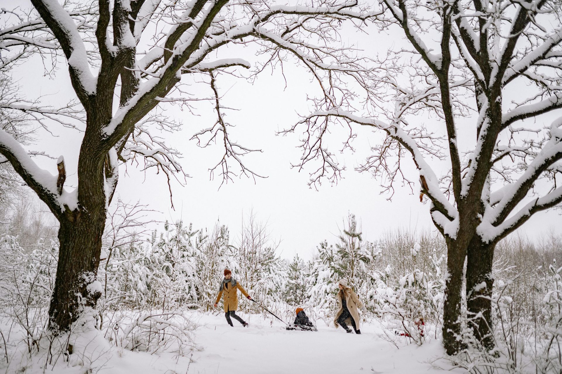 People sledding down a snowy hill surrounded by trees.