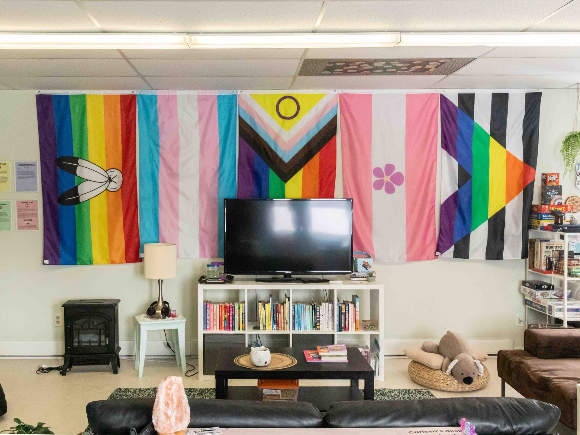 Colorful wall of rainbow and pride flags above a TV in a cozy living room