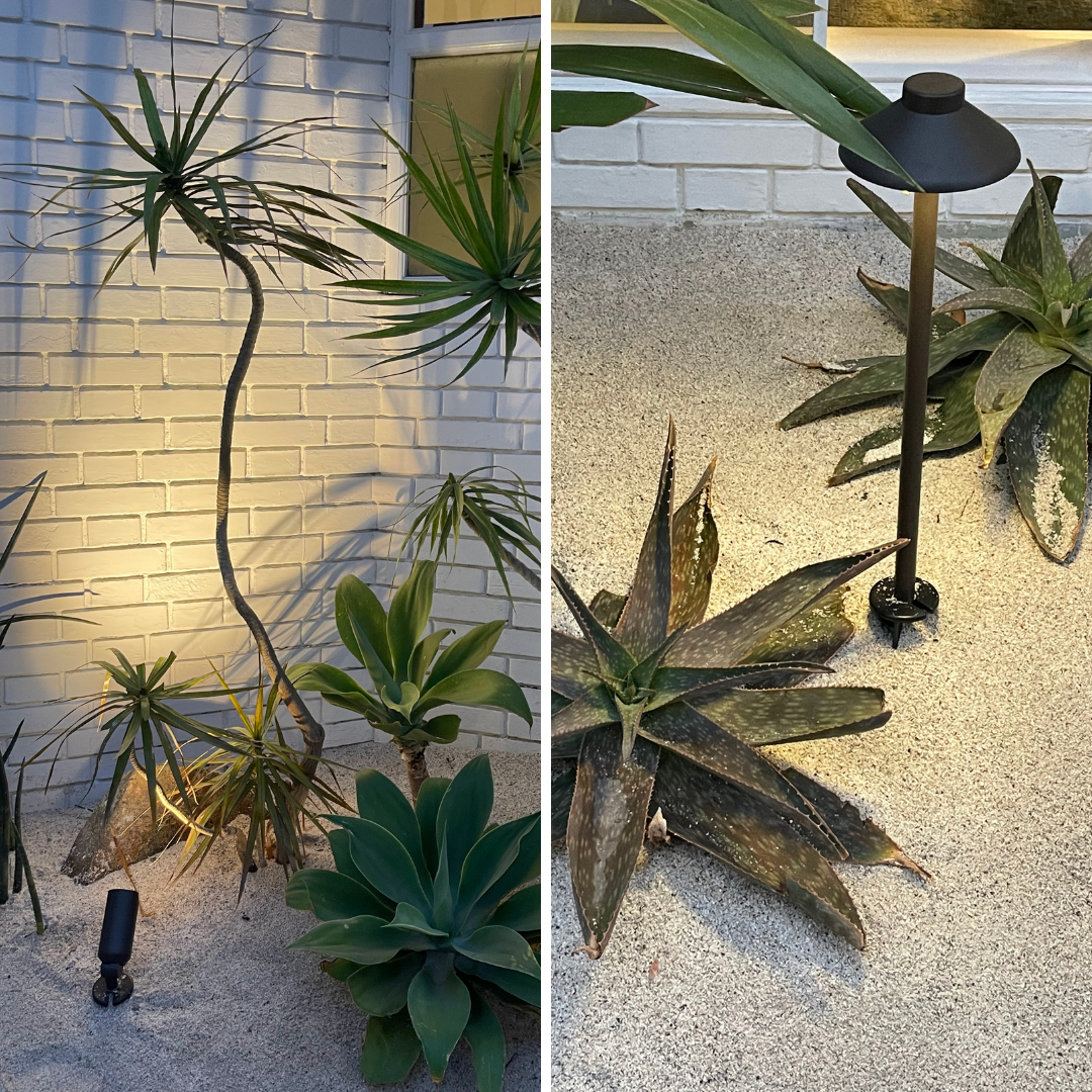 Un collage de dos fotografías de un jardín con plantas y una luz.