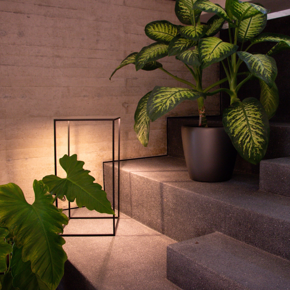 Una planta en maceta se encuentra en un conjunto de escaleras al lado de una lámpara.
