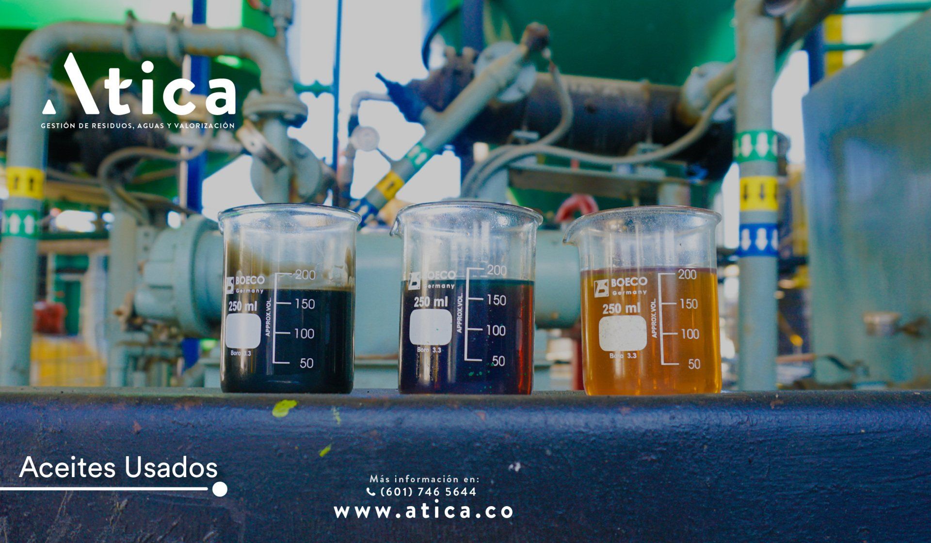 Tratamos aceites usados para reincorporarlos a la cadena de producción