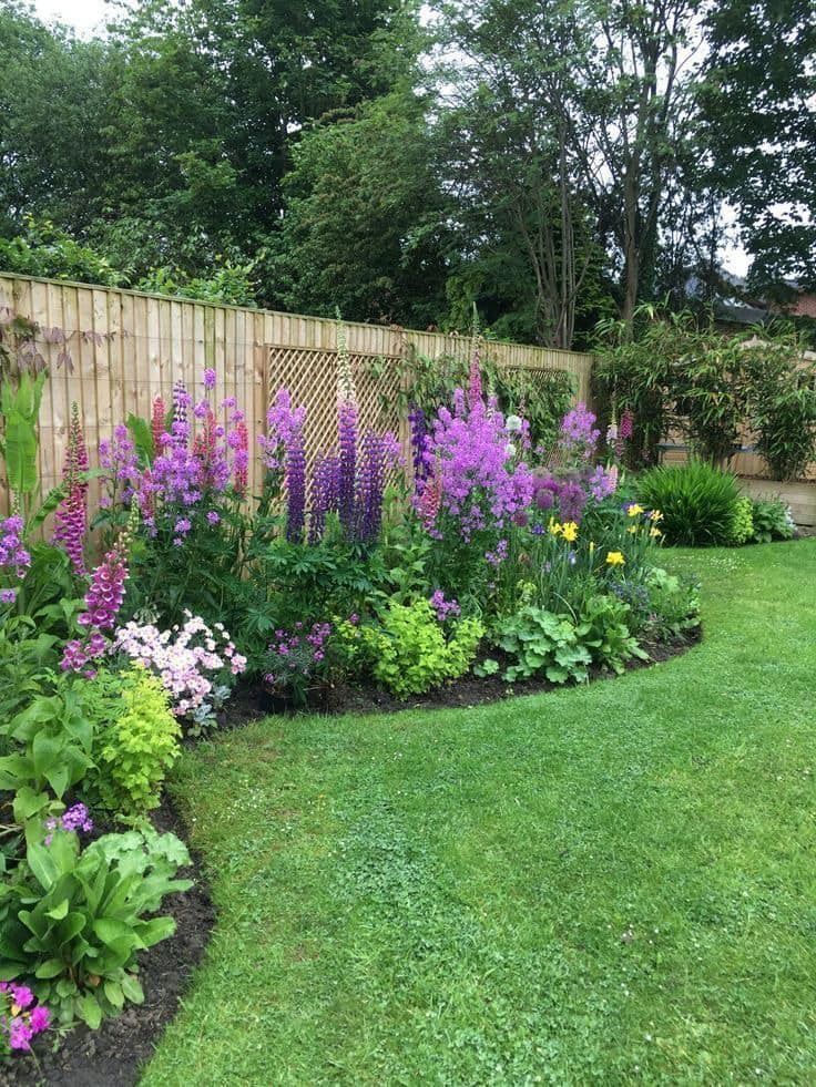 Purple and pink flowers bloom along a lush green garden bed beside a wooden fence.