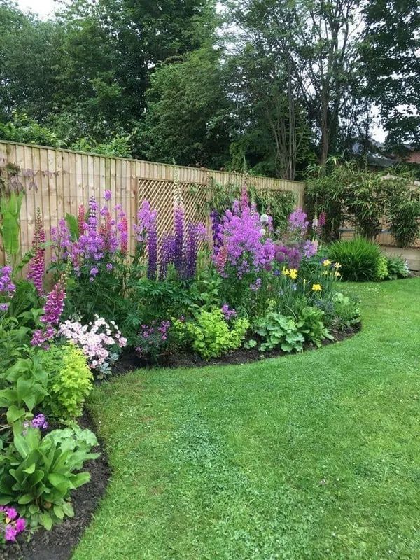 Colorful garden bed with purple and pink flowers beside a green lawn and wooden fence