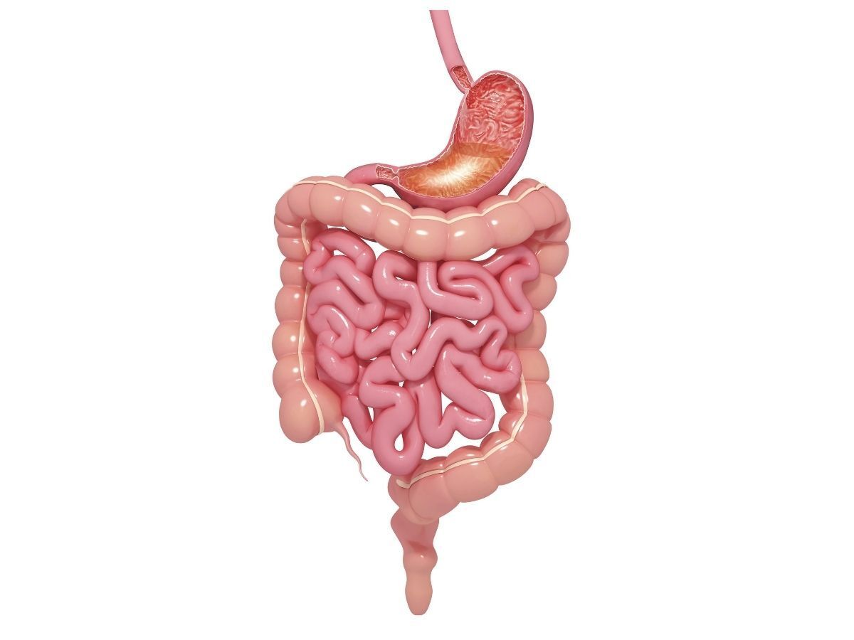 Cirurgia do Aparelho Digestivo em São Paulo - Obesicenter