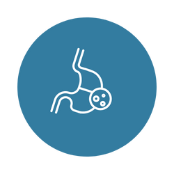 Ícone do estômago representando cirurgia bariátrica