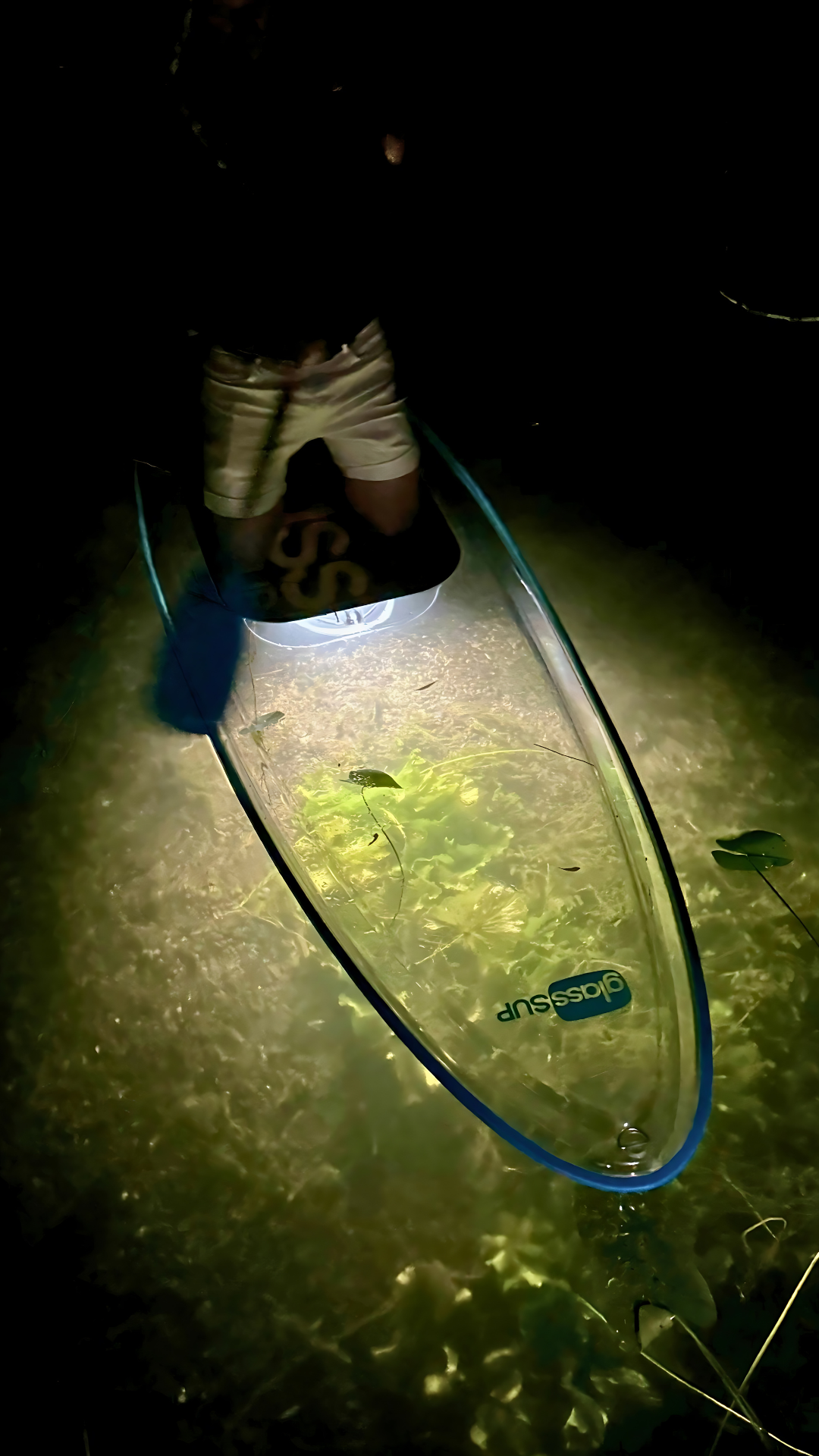 Eine Person steht nachts auf einem durchsichtigen Surfbrett im Wasser.