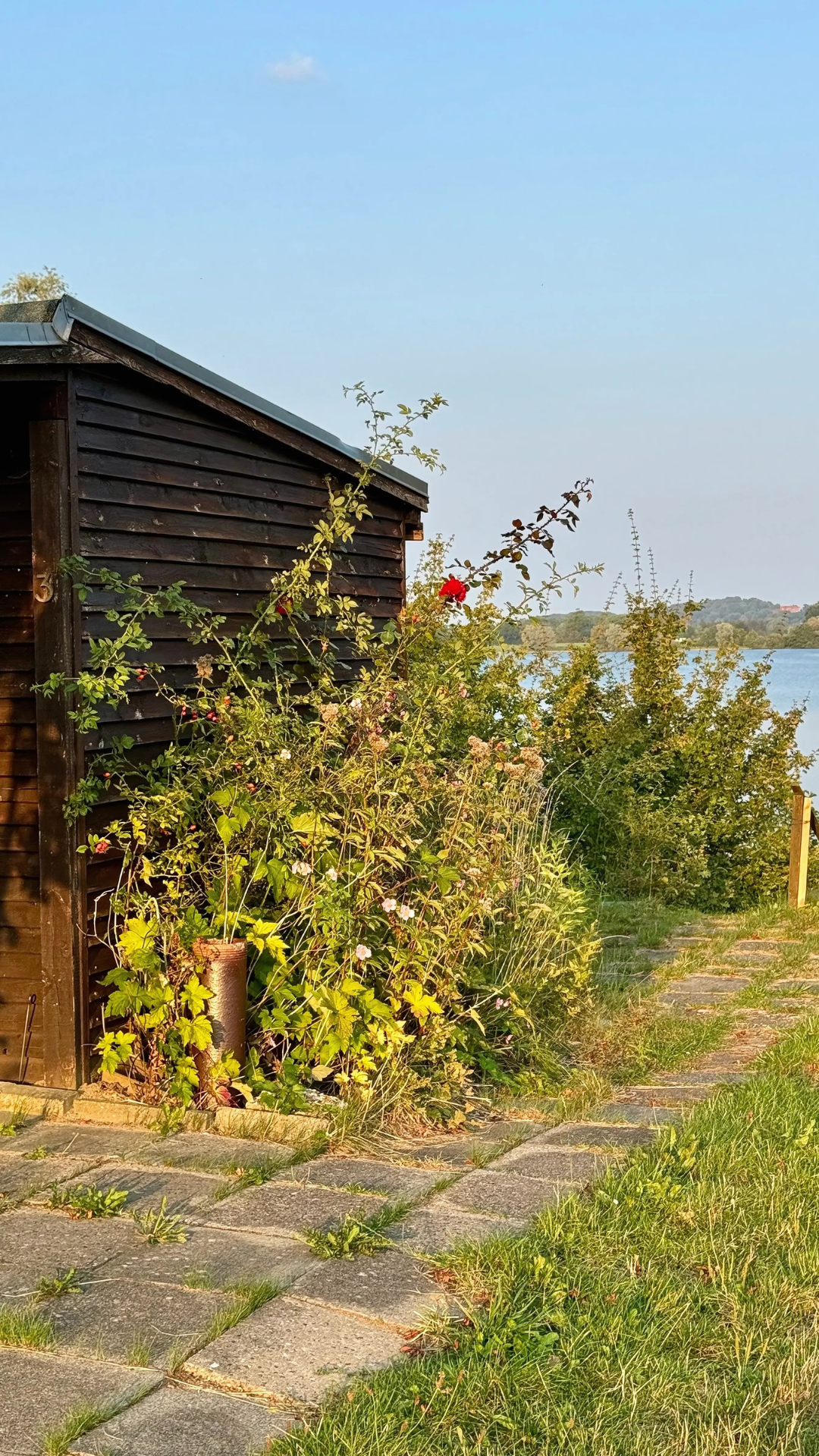 Mitten auf einem Feld neben einem Gewässer steht ein Schuppen.