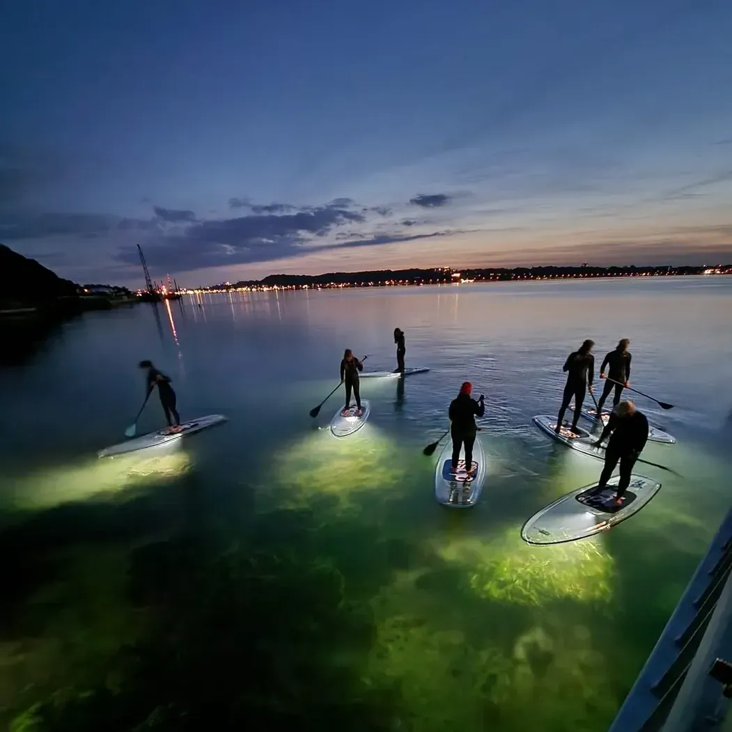 Eine Gruppe von Leuten ist nachts auf durchsichtigen Sups im Wasser unterwegs.
