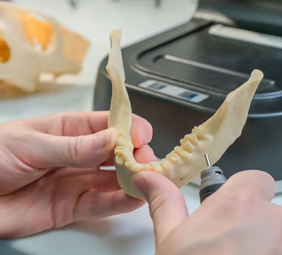 banana-river-dental-frequently-asked-questions
