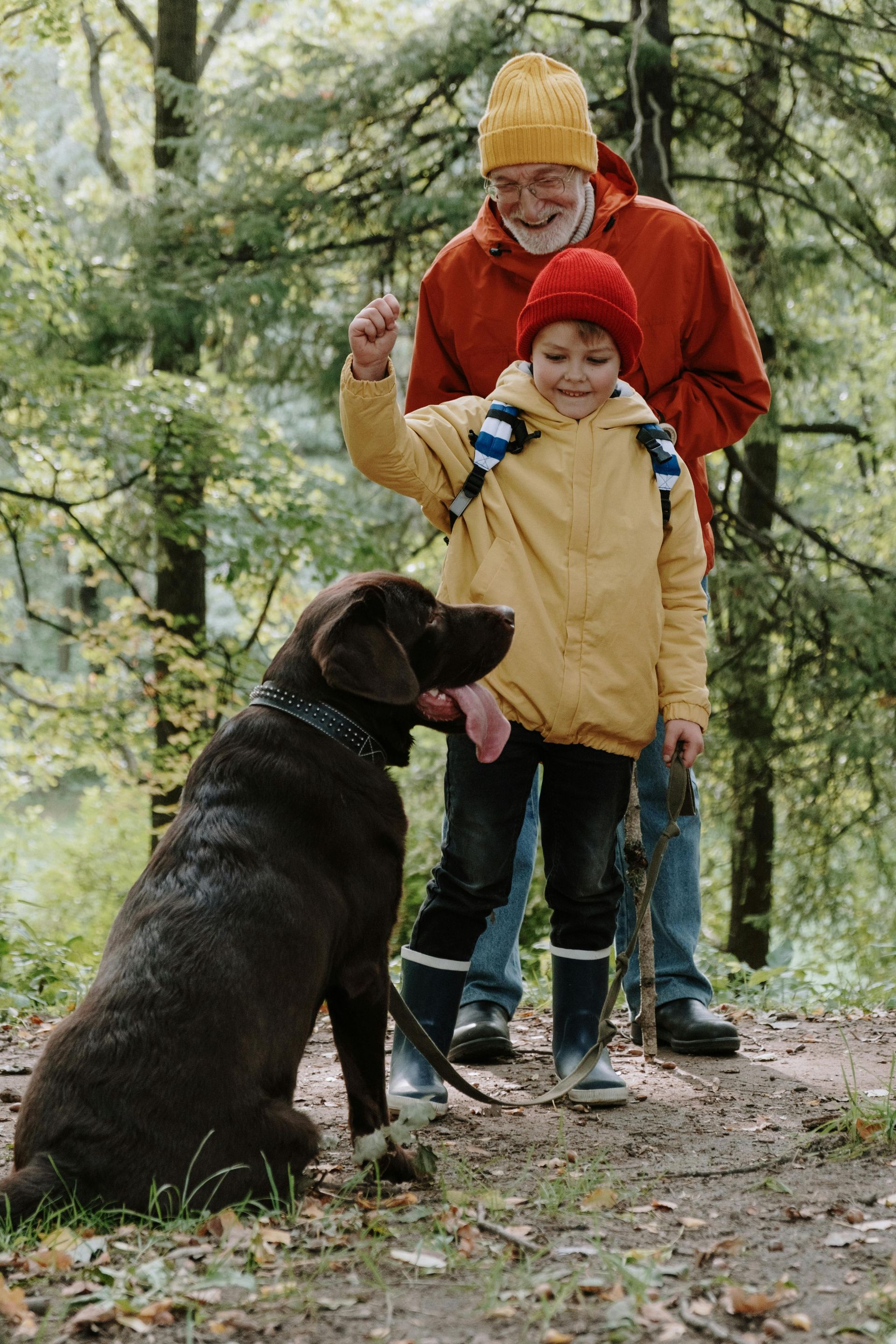 A man and a boy are walking a dog in the woods.