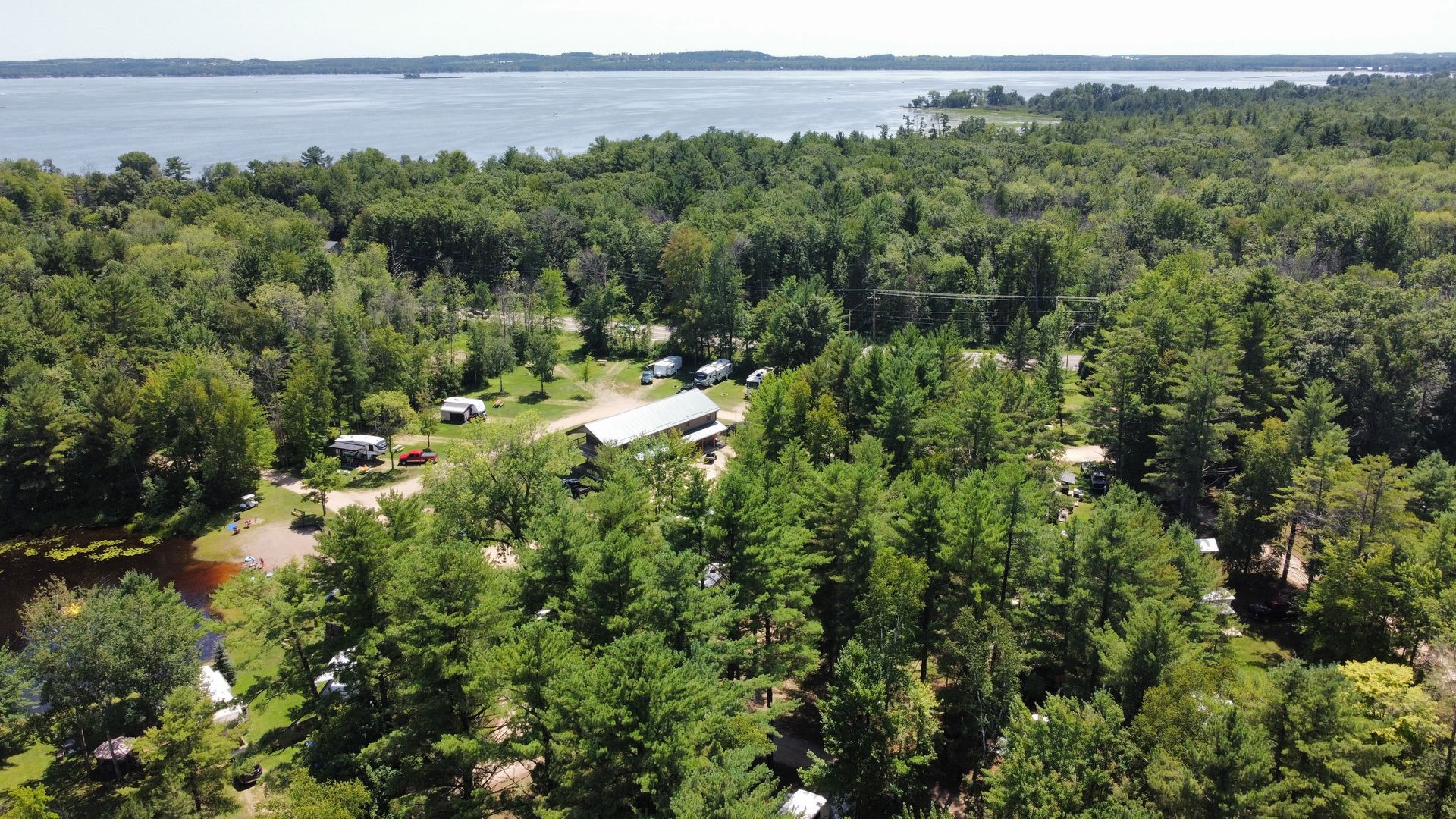 An aerial view of a forest with a lake in the background