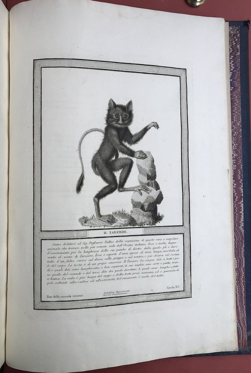 illustrazione libro Jacob, Henri