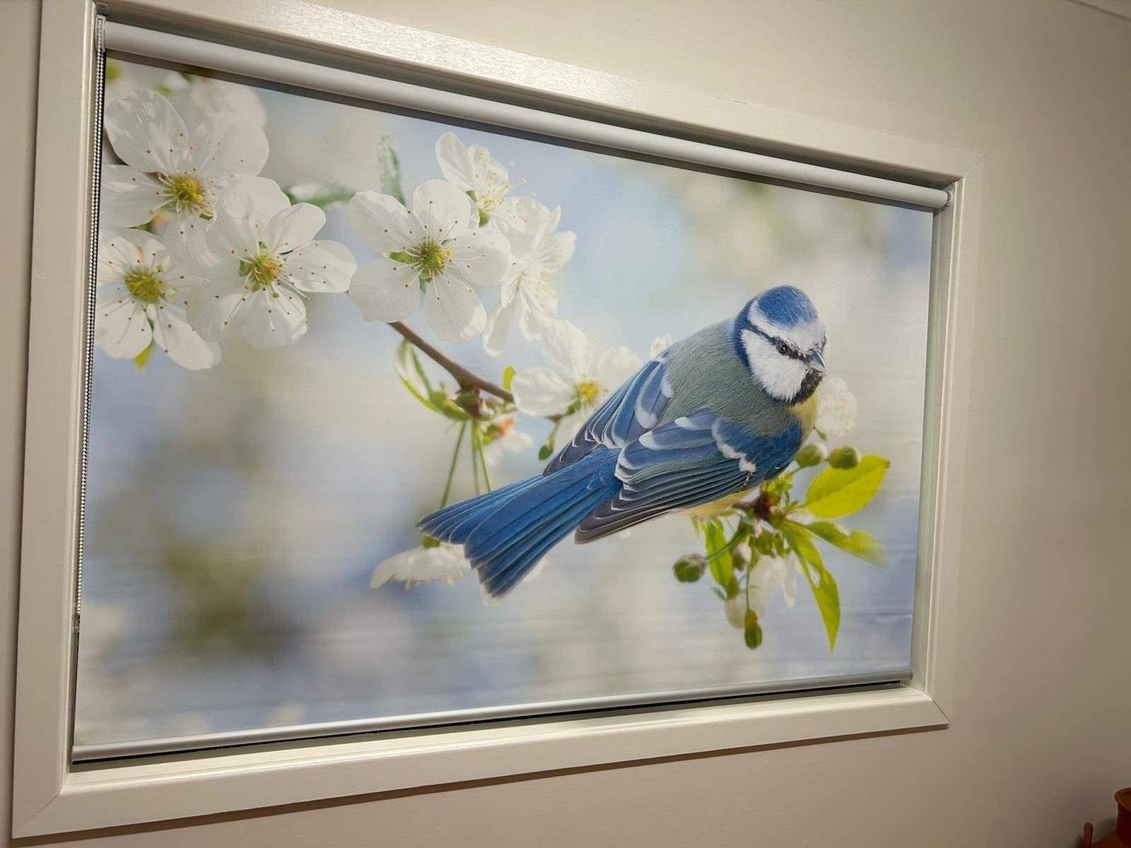 A Blue Bird Is Sitting On A Branch With White Flowers Window Blinds — Maxview Blinds and Shutters in Maitland, NSW