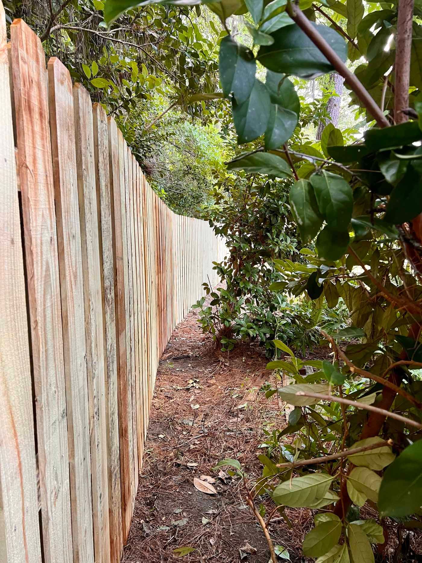 A wooden fence is surrounded by trees and bushes.
