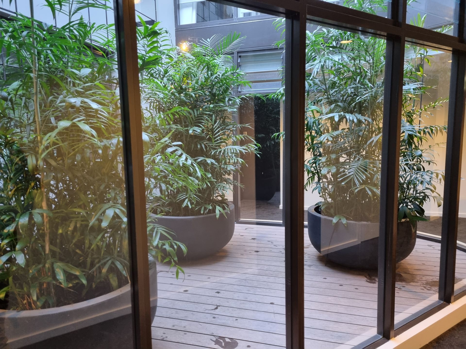 View through a glass window into an outdoor patio. Potted green plants sit on a tiled floor.
