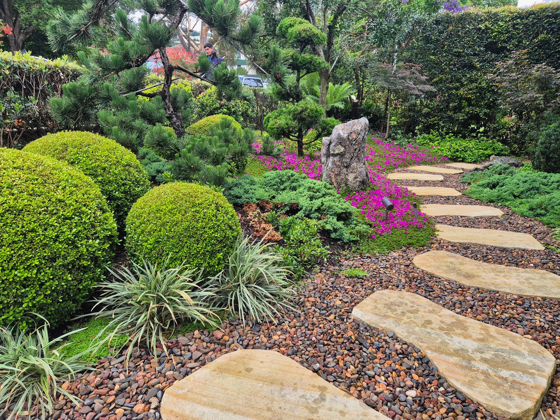 Stone path through Japanese garden with green shrubs and purple flowers.