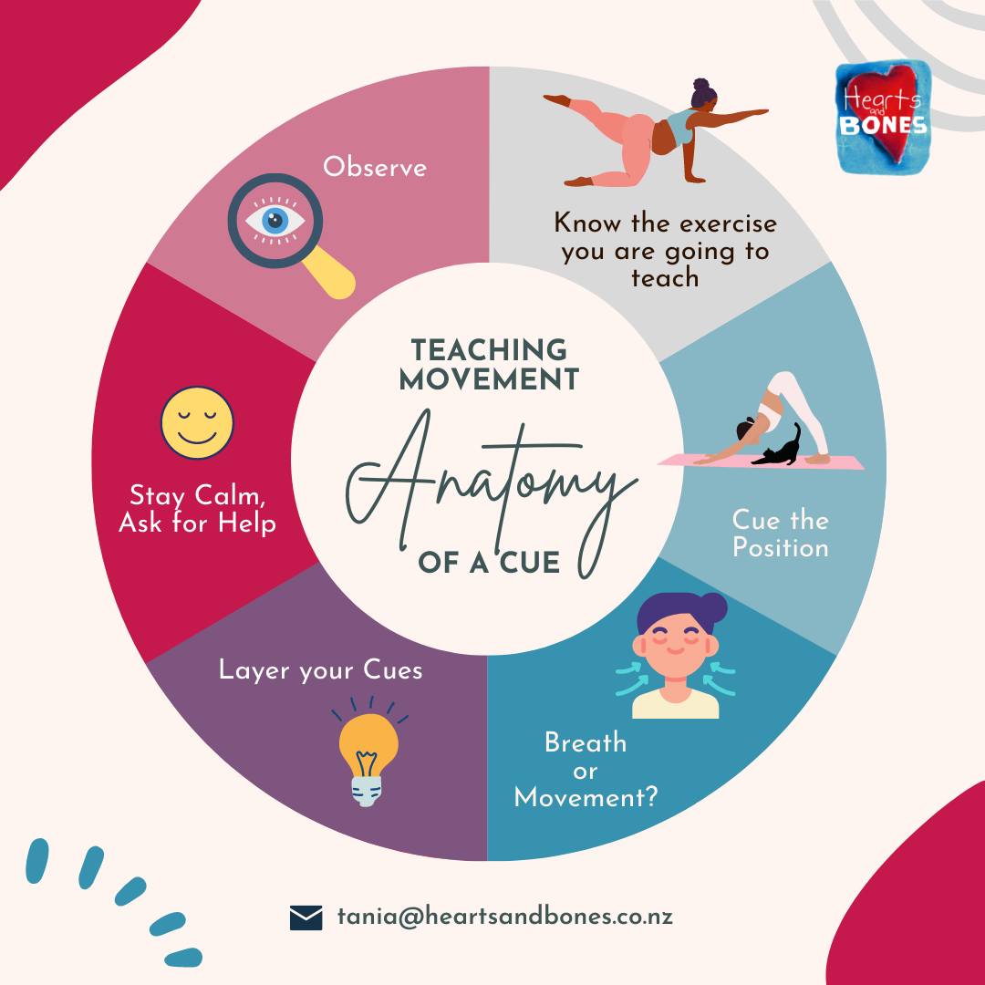 How to cue movement exercises successfully