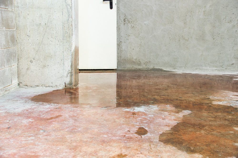 A Flooded Basement with A White Door and A Puddle of Water on The Floor — One Flush Plumbing Service In Oxenford, QLD