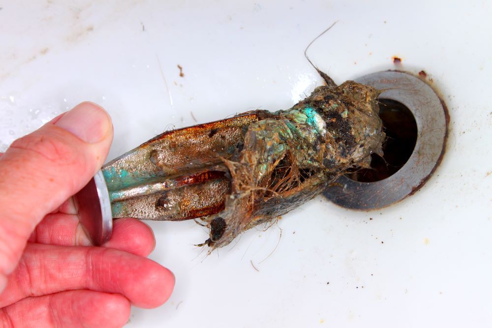 Hand Pulling a Dead Rat From a Clogged Sink Drain — One Flush Plumbing Service In Pimpama, QLD