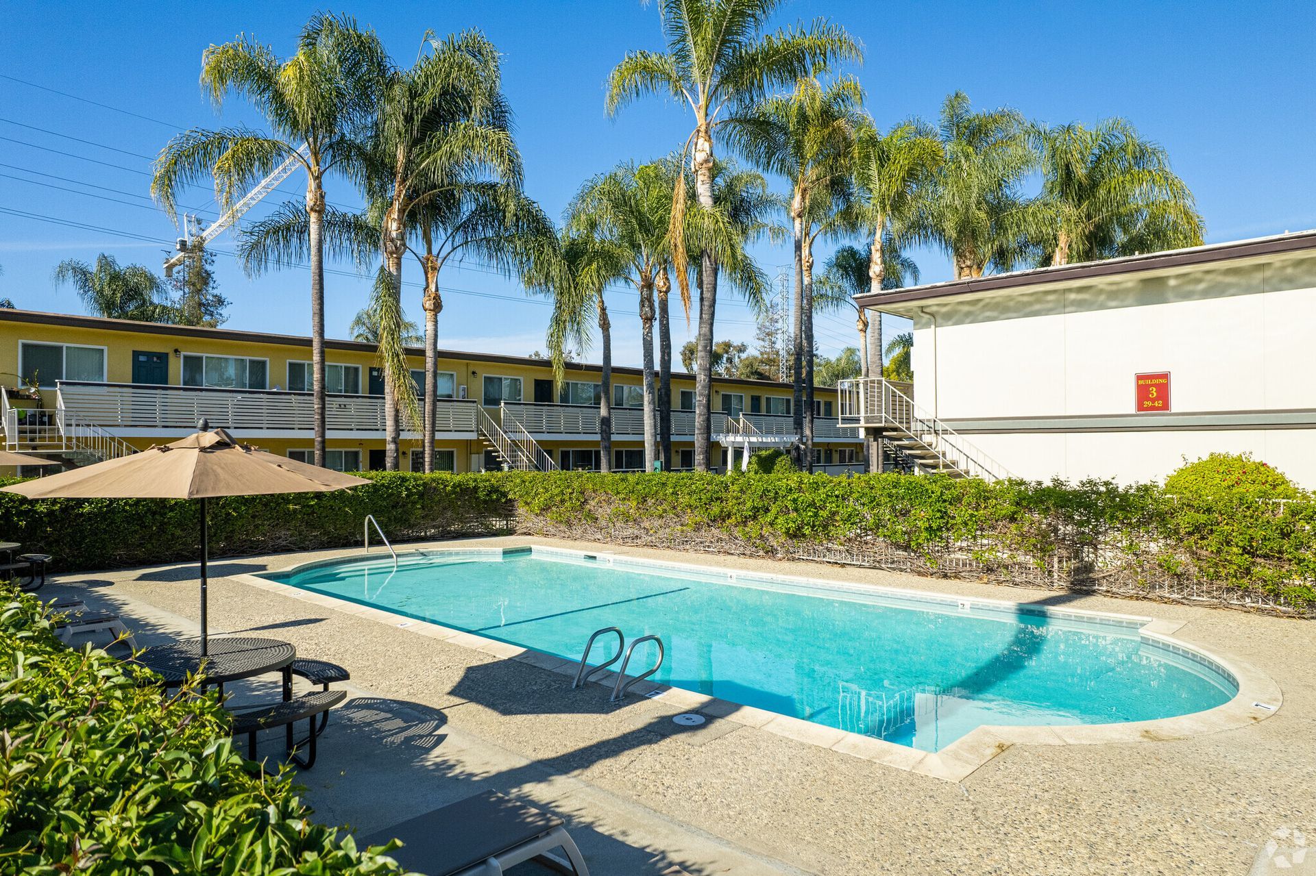 A large swimming pool in front of a building with palm trees