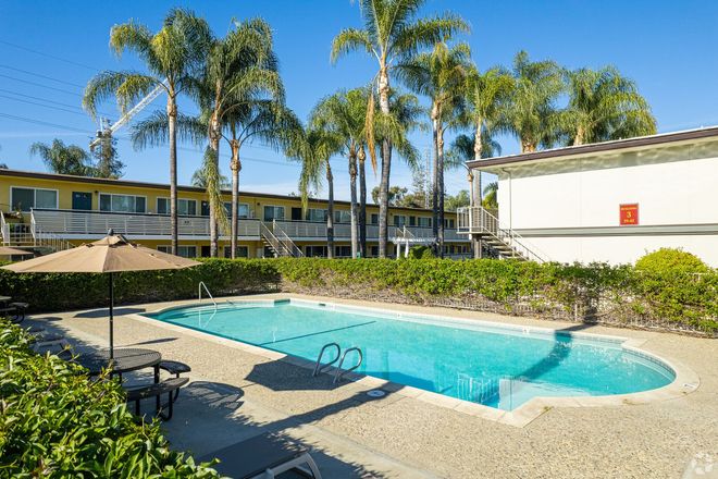 A large swimming pool in front of a building with palm trees
