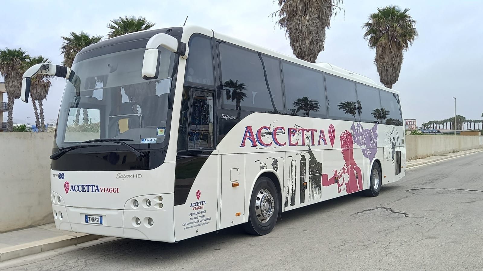 bus