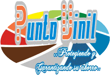 Logo Punto vinil