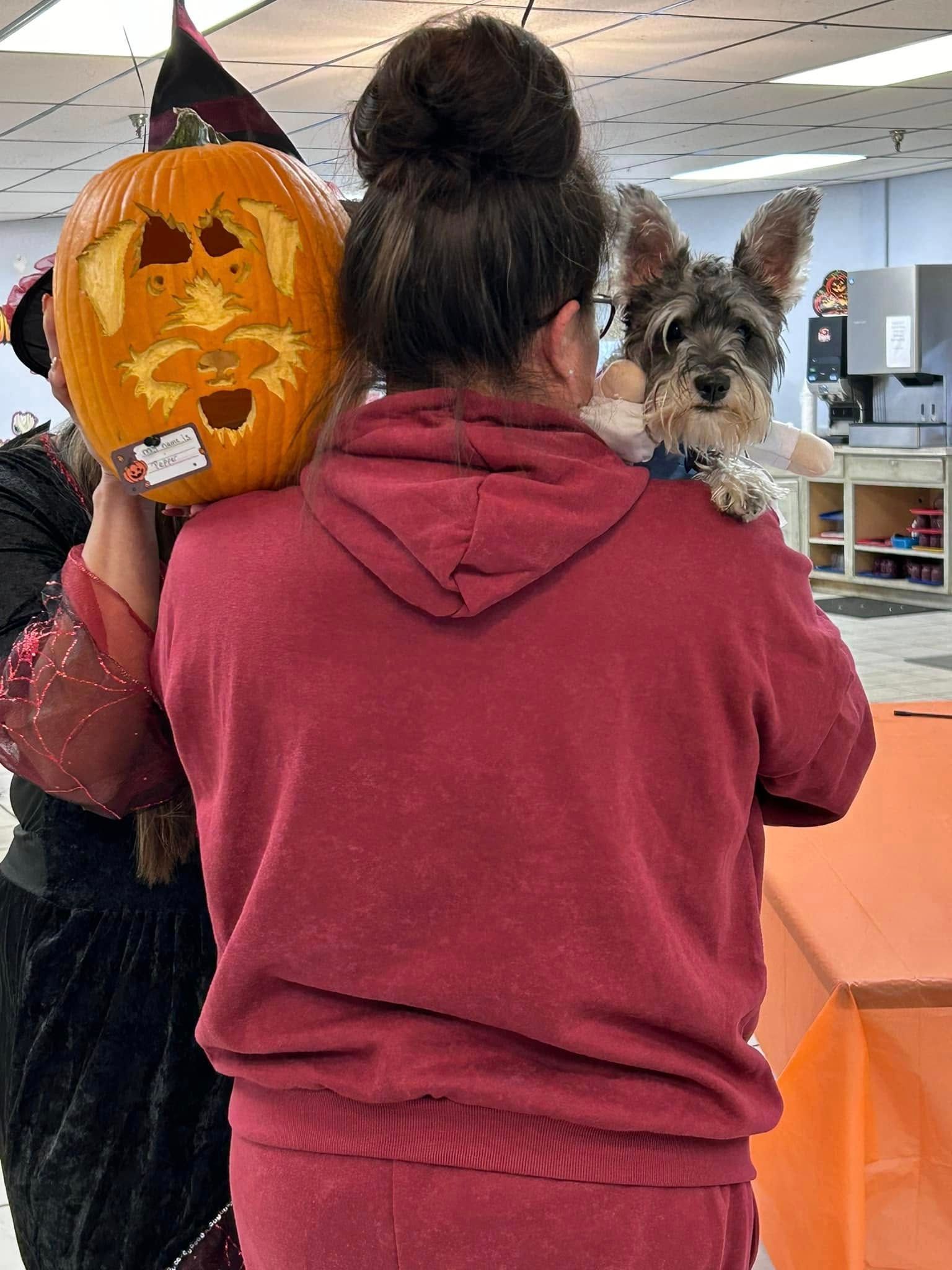 Woman in red hoodie, pumpkin jack-o'-lantern, dog on shoulder, witch in costume. Indoors.