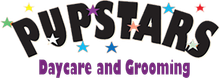 Your Local Dog Groomer in Cairns