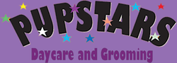 Your Local Dog Groomer in Cairns