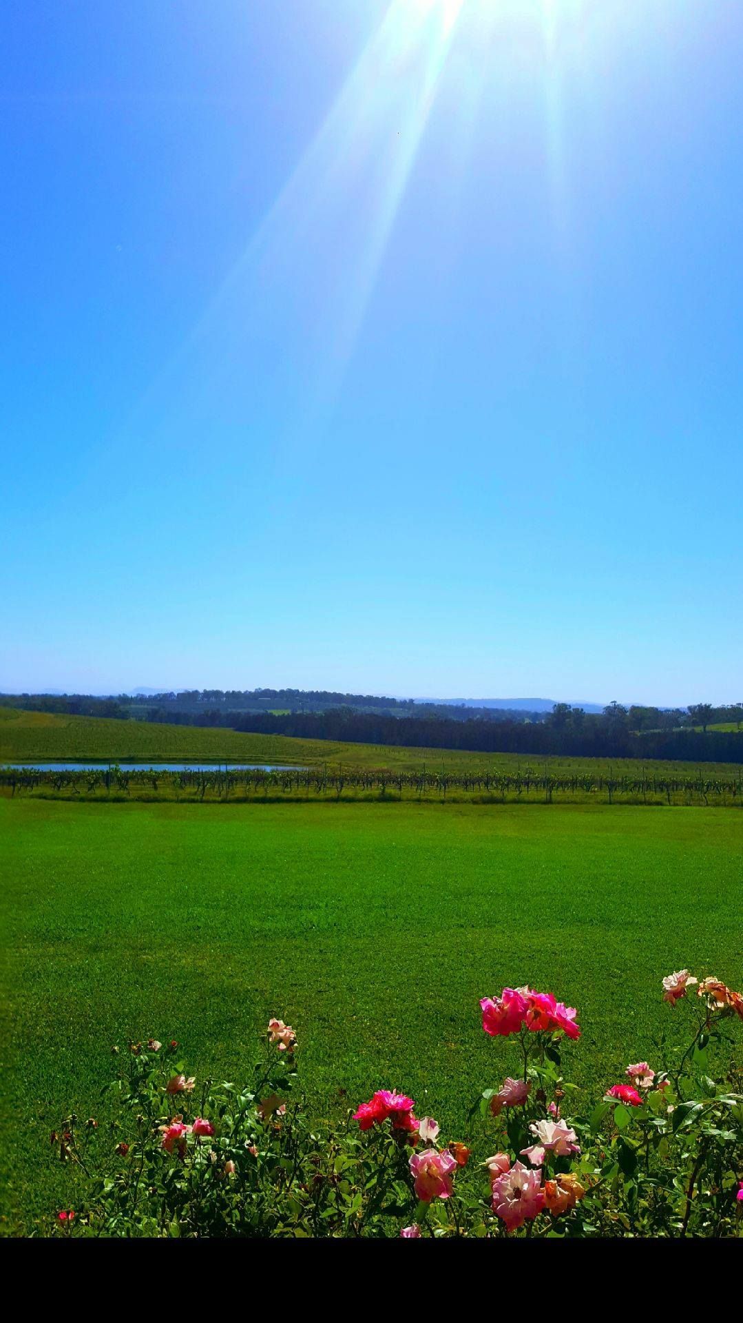 acreage mowed— Gardeners In Paterson, NSW