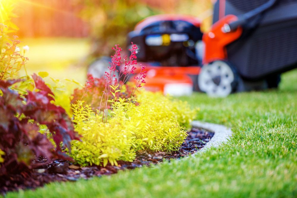 Garden Plants And Grass Mower — Gardeners In Singleton, NSW