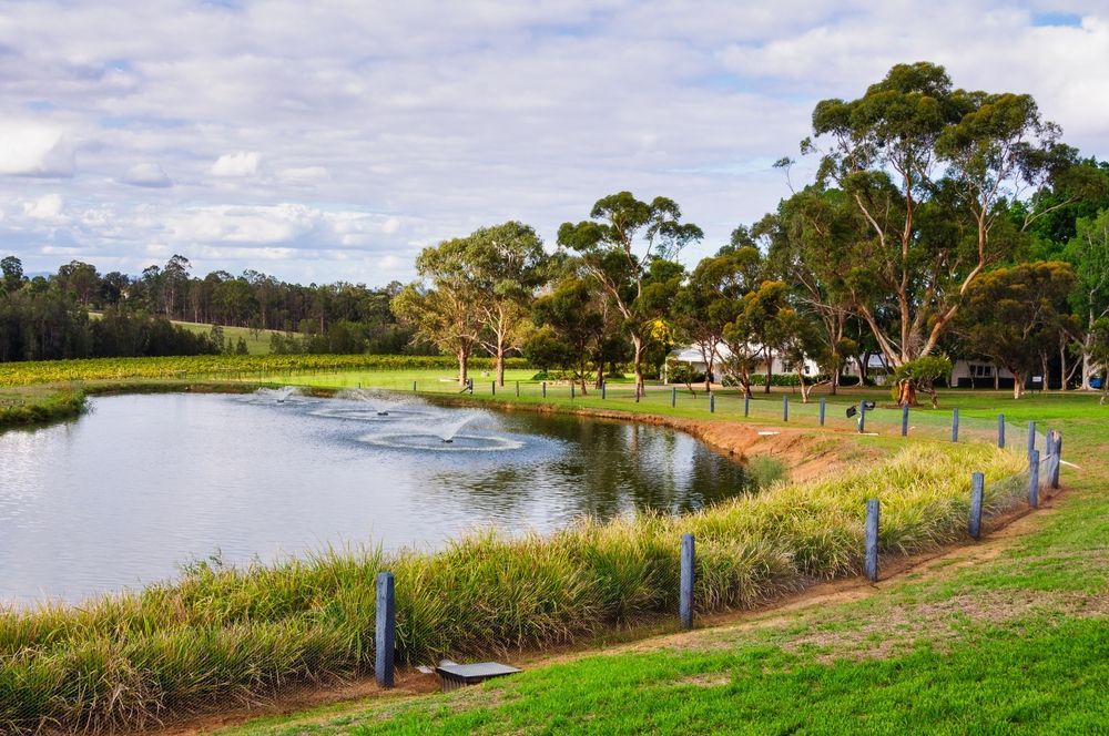 Pond With Water Features In The Park Of Pokolbin — Gardeners In Pokolbin, NSW