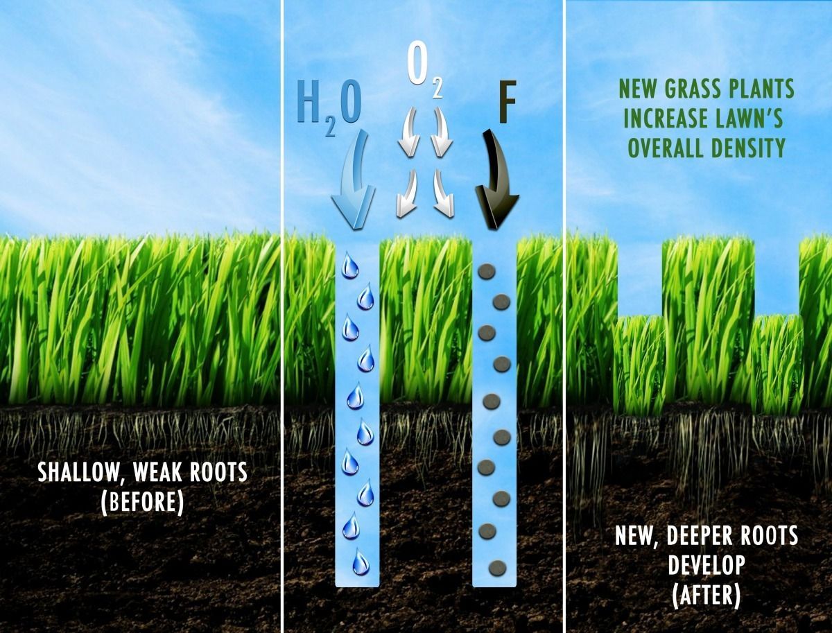 Diagram: Lawn root comparison. Before: shallow roots. After: deeper roots develop. Water, oxygen, and fertilizer are added.