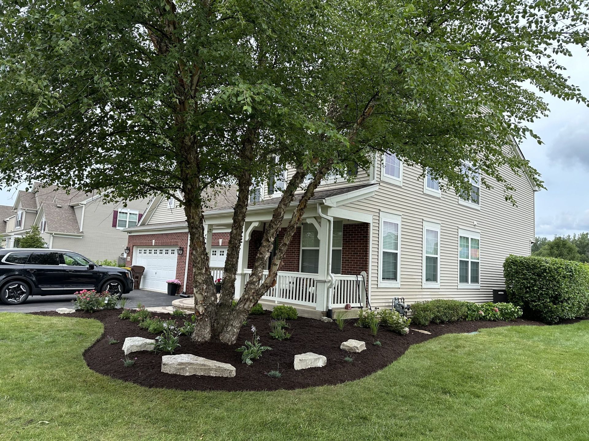 Row 1 image